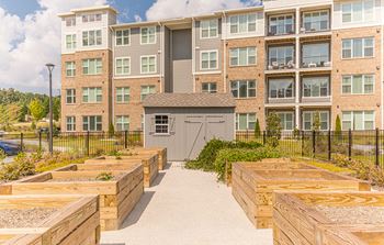 Community garden
